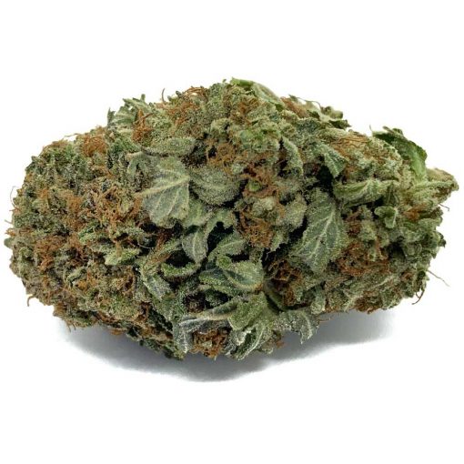 Pink Bubba