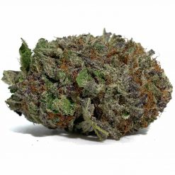 Mango Sherbet